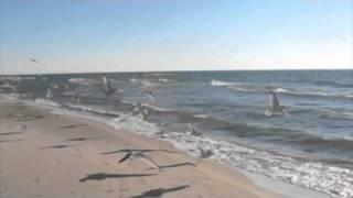 Lake Michigan in the fall