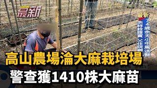 高山農場淪大麻栽培場　警查獲1410株大麻苗－民視新聞