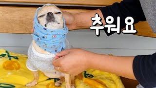 올 겨울은 더 춥고 눈도 많이 온다는데