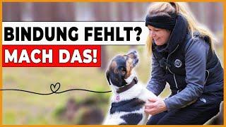 ️ 5 Tipps für Bindungsaufbau auf dem Spaziergang 