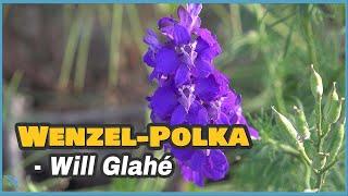 [4K] Will Glahé - Wenzel-Polka 1965