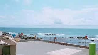 포항 다무포 고래마을