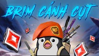  Brim Cánh Cụt Live | trà trộn vào cộng đồng Valorant Việt Nam