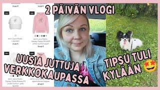 Hieman väsymys kiukkua havaittavissa /Uusi pakastin /Tipsu kylään / 2 päivän vlogi