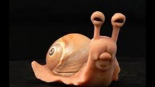 Grumpy Snail