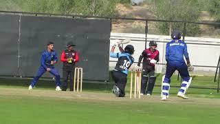 MATCH993 P2(SYED HAIDER SHAH) 254th 50'sTOTAL=38,076RUNS  R=74 B=39 Z GAMES STRI WON vs HAWKS CA