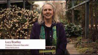 Lucy Bradley, NC State Professor and Urban Horticulture Extension Specialist