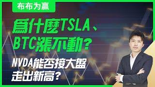 【布布为赢】为什么TSLA、BTC涨不动？NVDA能否接大盘走出新高？