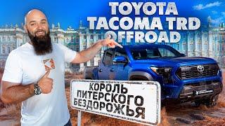 Tacoma TRD Offroad | Toyota для бездорожья в Питере |  #toyota #tacoma  #макс #борода