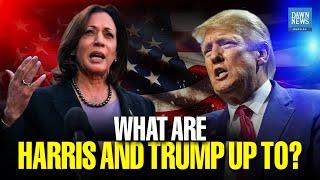 US Elections: What Are Harris and Trump Upto? | Dawn News English