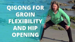Qigong For Groin Flexibility And Hip Relaxation | Release Inner Thigh Muscles With Qigong