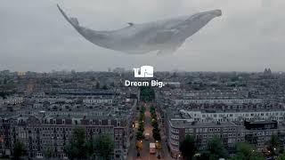 Dream Big - We grow brands - Whello