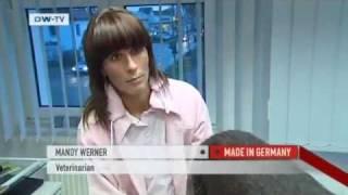 Germany in a Credit Crunch | Made in Germany