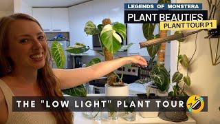 P1. Low Light Living Room Plant Tour | Monstera & Philodendrons | Plant Beauties Series