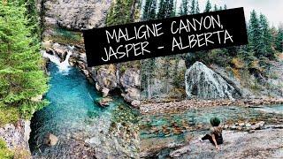 MALIGNE CANYON - Hike in Jasper National Park, Alberta, Canada