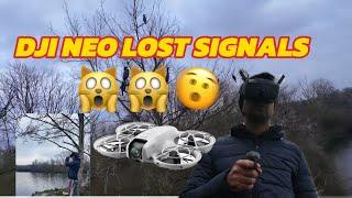 Dji Neo Lost Signals