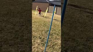 A football Odyssey - backyard fun