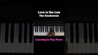 Love is The Law - The Seahorses - 13 Feb 2024 - Learning to Play Piano