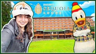 I Stayed at Disney SEQUOIA LODGE Hotel | Room Tour, HUNTER'S GRILL & More! Disneyland Paris 2025