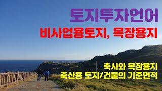 투자언어 #137 : 돈 되는 목장용지, 비사업용 토지.. 포인트는 기준면적