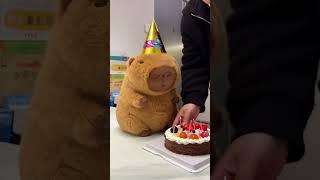 Happy Birthday~ #cute #capybara #funnyanimals #healing