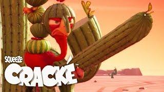 CRACKE - CACTUS KNIGHT | Compilation | Videos For Kids