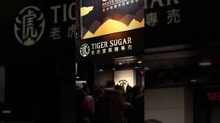 Taiwan: Tiger Sugar Milk Tea