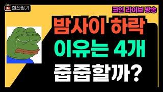 결국 하락 진행중 l 제발 시킨대로만 하세요 l 같이 돈 법시다  (24.12.31.)