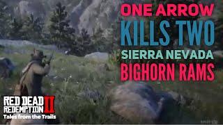 Red Dead Redemption 2: Bow Hunting - Double Kill Sierra Nevada Bighorn Rams One Arrow