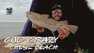 Cod Crazy Fishing Chesil Beach | Catching Cod with Wayne | Dorset Coast