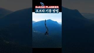 수호이 전투기 코브라 기동 튜토리얼 #dcs월드