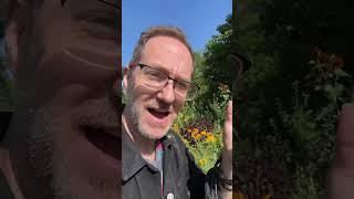 Pros and cons of food forest gardens #permaculture #gardendesign #foodforest #forestgarden #garden