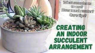 INDOOR SUCCULENT ARRANGEMENT // Which succulents will grow best indoor