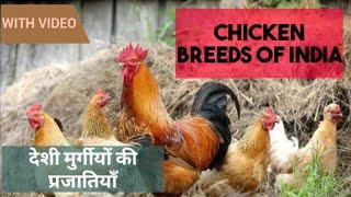 CHICKEN BREEDS OF INDIA WITH VIDEO    #indian chicken breeds