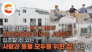 살던 곳에서 450km 떨어진 빌라로 이사를 결심한 이유, 반려동물과 사는 사람만 입주할 수 있는 반려동물 전용 빌라