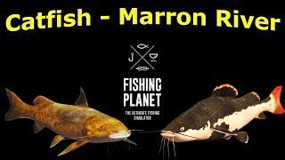 Fishing Planet : Gilded Catfish and RedTail Catfish. Marron River in Bolivia (Fast Farm)