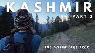 The TULIAN LAKE trek is NOT EASY - PAHALGAM, KASHMIR travel vlog