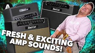 Lee & Pete Fall In Love With These Amps! Bad Cat's Latest Amps & New Jet Black Amps!