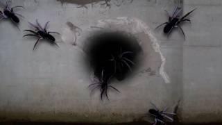 GIANT SPIDERS - HOLIDAYPROJECTION.COM