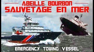 L' Abeille Bourbon : un remorqueur parmi les plus puissants du monde    (Eng-sub)