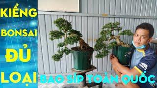 10/11/. Cần giao Lưu,, đủ loại kiểng Bonsai. (giá rẻ). Thành phẩm, ️ 0977129441