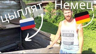 немец в России - Инкубатор, было ли это правильным решением? #фермер #деревня #природа