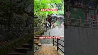 폭포에 묻힌 염불소리~ 양산 홍룡사 홍룡폭포