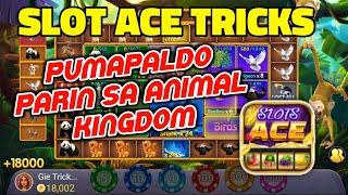 PUMAPALDO PARIN SA ANIMAL KINGDOM | SLOT ACE