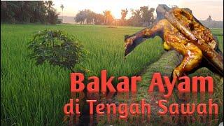 Bakar Ayam di Tengah Sawah || suasana Horor‼️