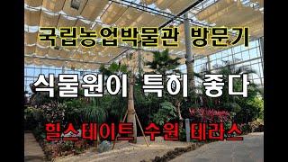 따뜻한 국립농업박물관 식물원... (feat.힐스테이트 수원 테라스,서호지구)