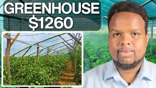 GREENHOUSE UGU QIIMAHA JABAN 2025 