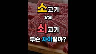 소고기와 쇠고기, 무슨 차이일까? #shorts