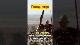 Господь Иисус, Ты — наш Спаситель, пусть Твое воскресение помогает нам расти!