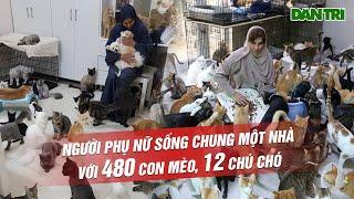 Bên Trong Ngôi Nhà Của Người Phụ Nữ Chung Sống Với 480 Con Mèo, 12 Chú Chó | Chuyện Lạ 16 #Shorts